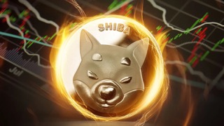Shiba Inu Burn Rate Surge 24,271% While Shibarium Transactions Spike, Catalyst For Rally To $0.00008?