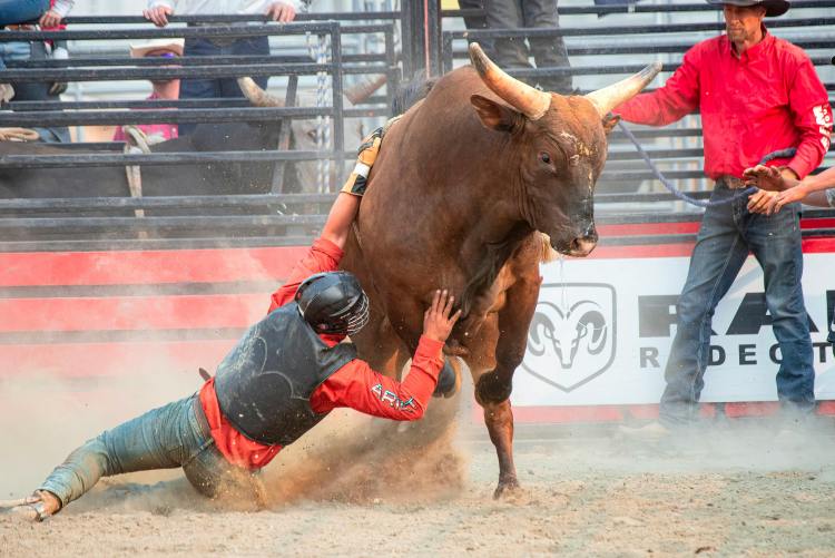 Bitcoin Bull Thesis Goes Big: 39 Trillion Reasons To Buy, Says Gemini Founder