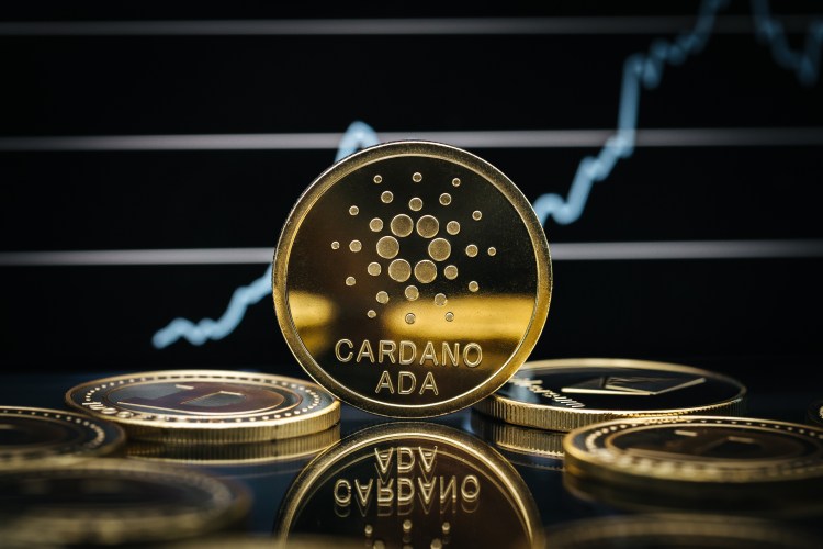 Cardano Price Could Be Heading To $0.10 — Crypto Founder Offers Insight