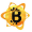 Bitcoiva icon